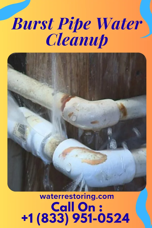 Burst Pipe Water Cleanup in Hartford Village, VT