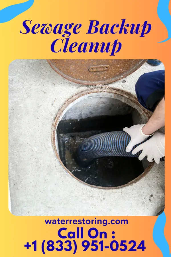 Sewage Backup Cleanup in Hartford Village, VT
