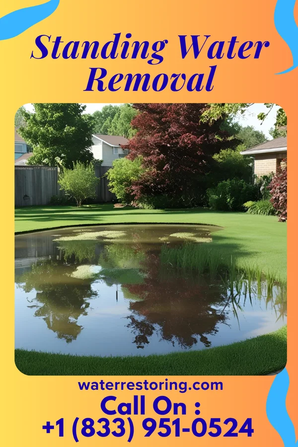 Standing Water Removal in Hartford Village, VT